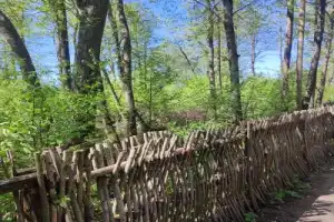 Экскурсия 3 в 1: Кронштадт + батарея Демидов + заказник Западный Котлин - 20