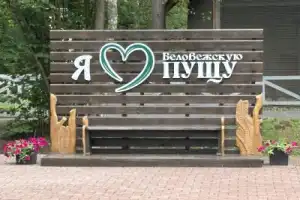 Трансфер из Бреста на экскурсию в Беловежскую пущу - 11