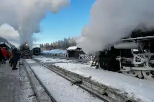 От каменного века до викингов, от Кижей до Рускеалы: индивидуальный тур по Карелии - 11