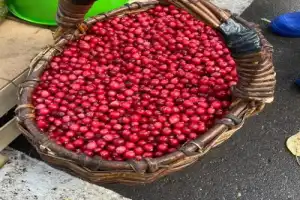 Вкусное путешествие к загадочному озеру Светлояр (на вашем автомобиле) - 10