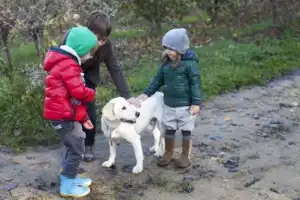 Охота на трюфель в Пьемонте - 11