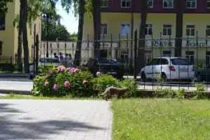 Из Калининграда — в Янтарный - 10