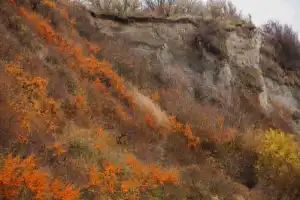 В направлении берега. Самбия - 10