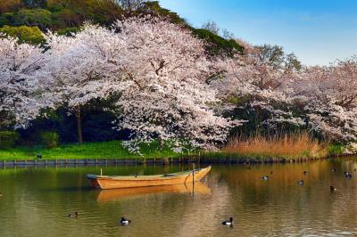 Сад Санкейэн — оазис для эстетов - 8