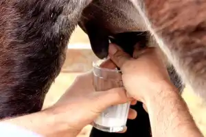 Веселый день для всей семьи в парке развлечений - 7