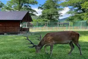 Живописной дорогой в Гузерипль — из Майкопа - 7