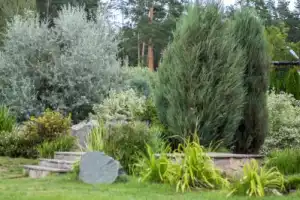 Городецкий край — русская Финляндия (из Нижнего Новгорода) - 14