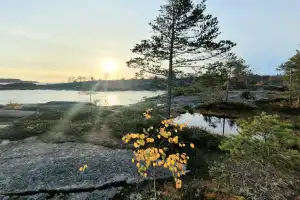 Скалистое ожерелье Приладожья: прогулка на катере из Сортавалы - 21