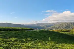 Экскурсии по ТОП местам Сочи: от водопада до променада (из Адлера) Экскурсии по ТОП местам Сочи: от водопада до променада (из Адлера)