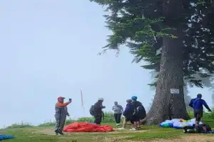 Гора Мамдзышха: 2000 метров восторга над уровнем моря (из Гагры) - 11