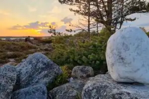 Ваше персональное путешествие вглубь веков: петроглифы, Кижи и Соловецкий монастырь