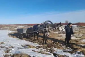 Семь холмов Холмогорья - 9