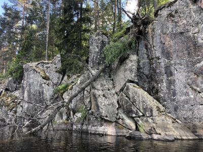 День наедине с природой Карелии: треккинг + каякинг - 3