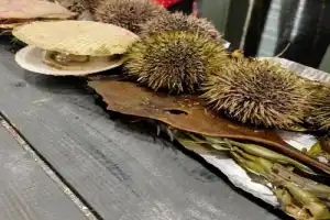 Мурманск: обзорная экскурсия + дегустация морепродуктов - 8