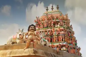 Паломнический тур в Индию с духовными практиками, йогой, ритуалами и посещениями храмов Паломнический тур в Индию с духовными практиками, йогой, ритуалами и посещениями храмов