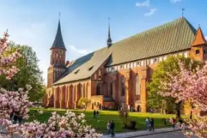 Индивидуальное знакомство с Калининградом и областью: экскурсии, прогулки и концерт