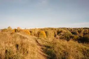 Увидеть главное в Смоленске с гидом-историком - 9