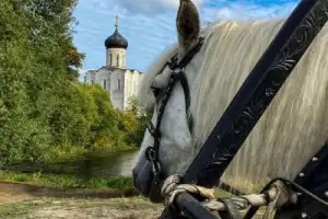 Чудеса и легенды Богородицы во Владимире и Боголюбове - 3