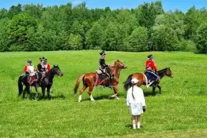 На поле Бородинском... - 5