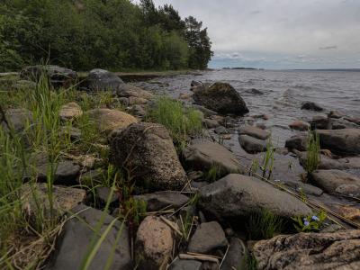 Урочище Чертов стул и финский суп - 8