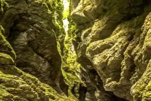 От Красной Поляны к морю на электровелосипедах! - 8