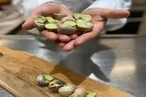 Эскарго де Псковиньон: улиточная ферма и усадьба Ореховно - 3
