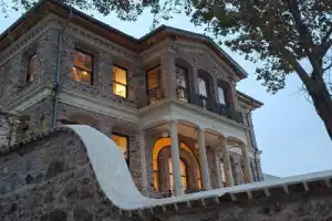 Из Стамбула — на Принцевы острова! - 15