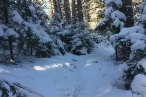 Прогулка по зимней Карелии тропами лешего Хийси - 12