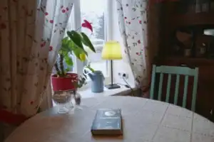 Петрозаводск для гурманов: попробуйте город на вкус! - 12