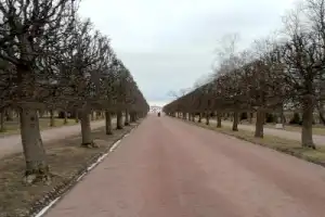 По Петергофу к фонтанам - 7