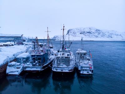 Фотопоездка в Териберку — киты, тундра и северное сияние - 7