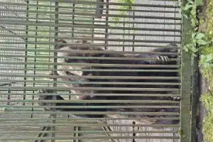 Из Бреста — в заповедный мир Беловежской пущи - 14