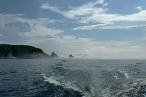 Два дня на восточном побережье Приморья - 14