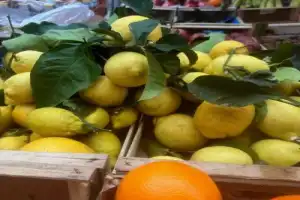 Самый вкусный Неаполь - 4