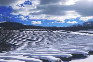 Сбор чая на рассвете и купание в водопаде - 9