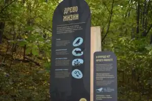 Ширяево — путешествие в сердце Жигулёвских гор - 16