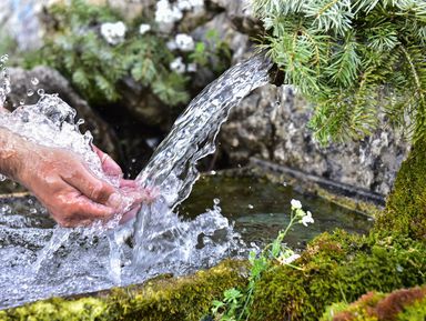 Путешествие к родникам с целебной водой