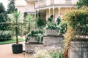 уДачный Петербург: уют и роскошь императорских дач