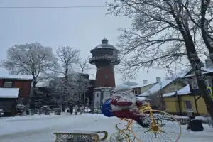 Из Калининграда — в мир Средневековья и романтики - 10