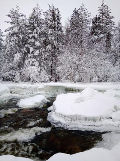 Фотоэкспедиция «Сказка Южного Заполярья» - 7