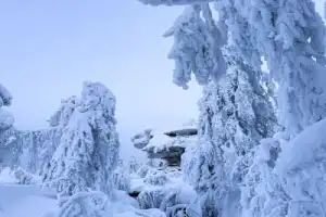 К Усьвинским столбам — на лодке с ветерком! - 37