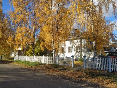 Петрозаводск в трех веках - 2