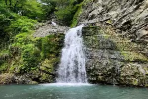 Чудеса горного Сочи: источник Мацесты, водопады и чайные плантации - 2
