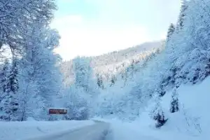 Из Тбилиси — в зимний Боржоми и Бакуриани