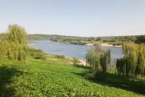 Таруса: о магии города и его окрестностей - 9