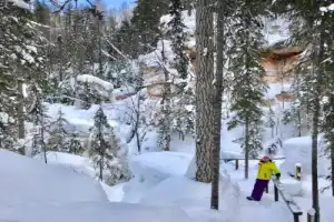 Два дня на Русском Севере - 9