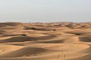 Утреннее сафари - 4