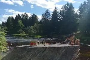 Карелия заповедная: прогулка по экотропе - 12