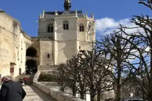 Замки Луары + могила Леонардо да Винчи: максимум за день из Парижа - 2