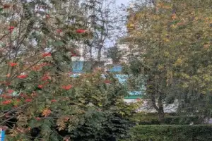 Дмитров: за околицей моей души - 9